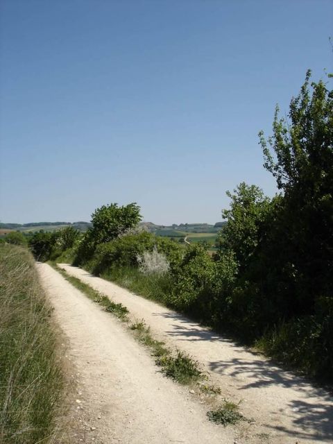 Wandern im Hegau