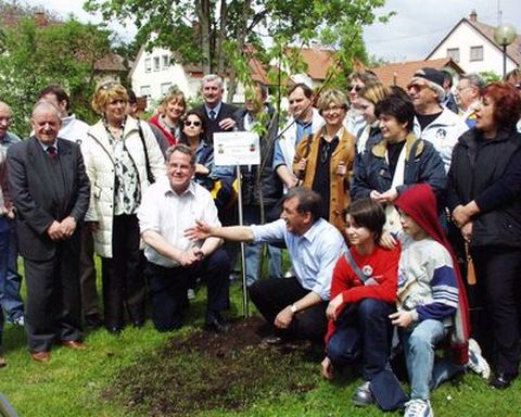 Der Partnerschaftsbaum ist gepflanzt.